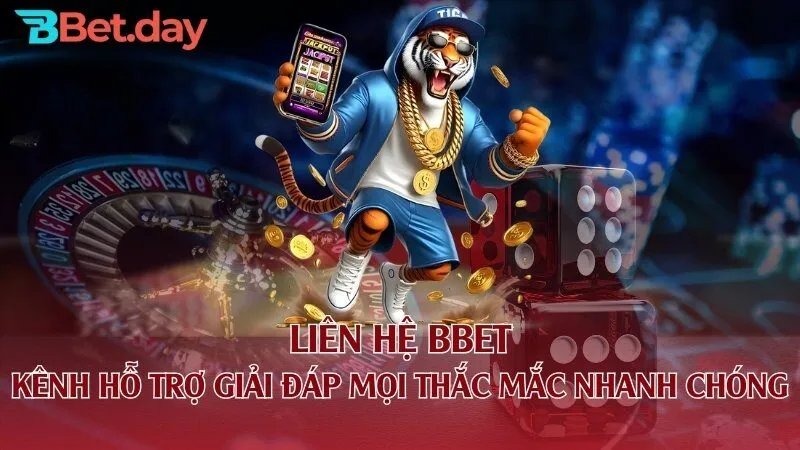 Tổng quan về các kênh liên hệ BBet