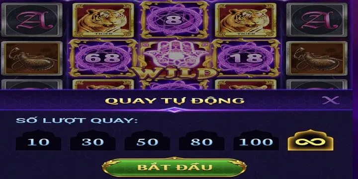 Bảo vật Ba Tư BBet nhiều tính năng đặc biệt