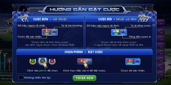 Những điều sơ bộ về đua ngựa BBet