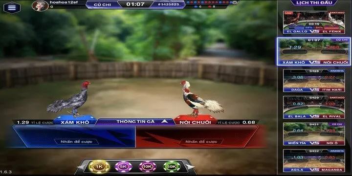 Tổng hợp các ưu điểm vượt trội của sới đấu thần kê BBet