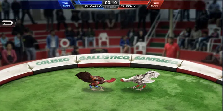 Tổng hợp các ưu điểm vượt trội của sới đấu thần kê BBet